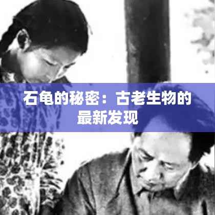 加入我们 第277页