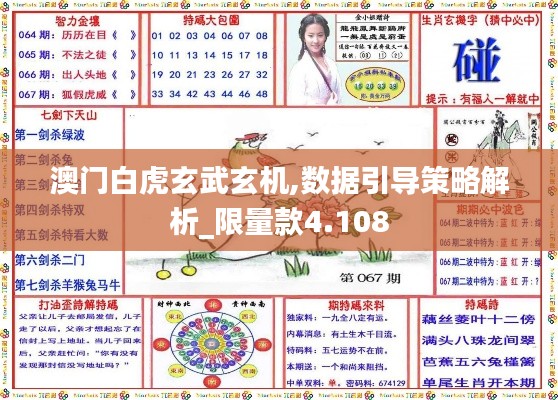 澳门白虎玄武玄机,数据引导策略解析_限量款4.108
