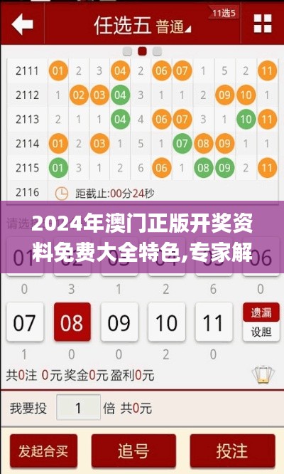 2024年澳门正版开奖资料免费大全特色,专家解析说明_WP版9.424