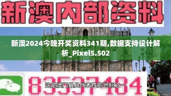 新澳2024今晚开奖资料341期,数据支持设计解析_Pixel5.502