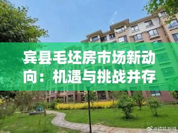 宾县毛坯房市场新动向:机遇与挑战并存