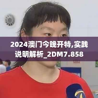 2024澳门今晚开特,实践说明解析_2DM7.858