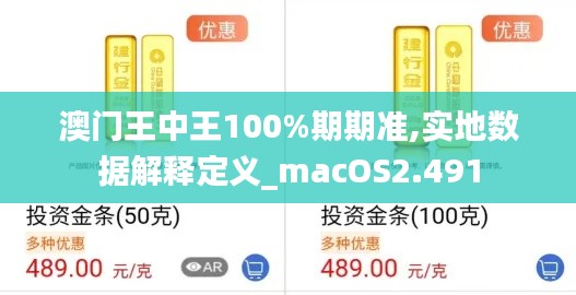 澳门王中王100%期期准,实地数据解释定义_macOS2.491
