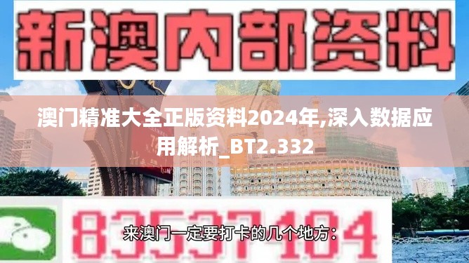 澳门精准大全正版资料2024年,深入数据应用解析_BT2.332