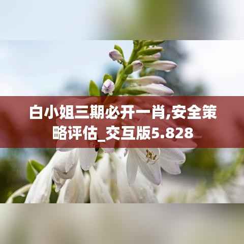 白小姐三期必开一肖,安全策略评估_交互版5.828