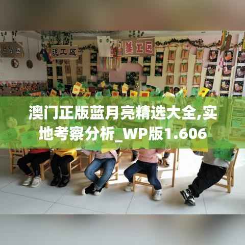 澳门正版蓝月亮精选大全,实地考察分析_WP版1.606