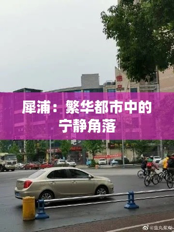 犀浦:繁华都市中的宁静角落