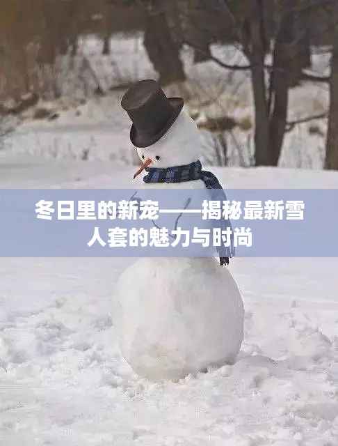 冬日里的新宠——揭秘最新雪人套的魅力与时尚