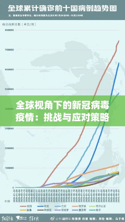 全球视角下的新冠病毒疫情:挑战与应对策略