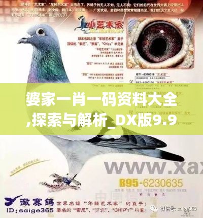 婆家一肖一码资料大全,探索与解析_DX版9.998