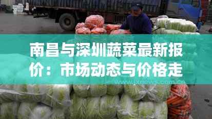 南昌与深圳蔬菜最新报价:市场动态与价格走势分析