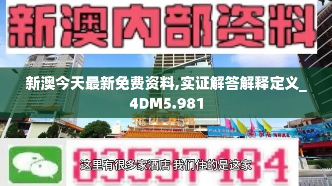 新澳今天最新免费资料,实证解答解释定义_4DM5.981