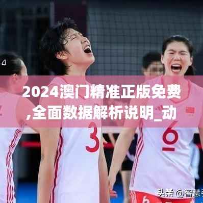 2024澳门精准正版免费,全面数据解析说明_动态版3.163