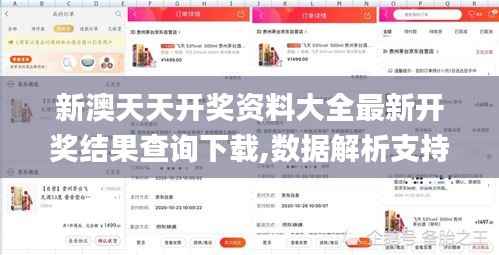 新澳天天开奖资料大全最新开奖结果查询下载,数据解析支持策略_精装款1.360