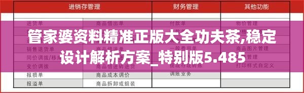 管家婆资料精准正版大全功夫茶,稳定设计解析方案_特别版5.485
