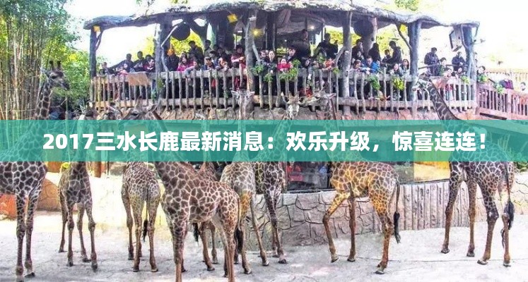 2017三水长鹿最新消息:欢乐升级,惊喜连连!