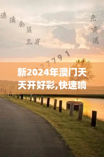 新2024年澳门天天开好彩,快速响应计划解析_精装版1.312
