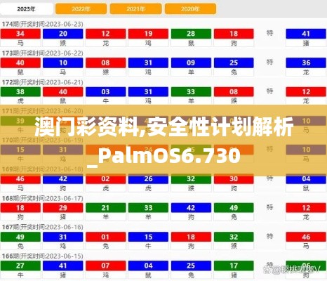 澳门彩资料,安全性计划解析_PalmOS6.730