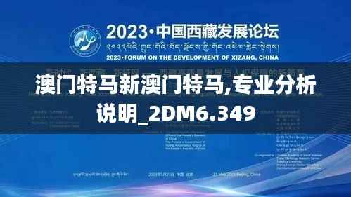 澳门特马新澳门特马,专业分析说明_2DM6.349