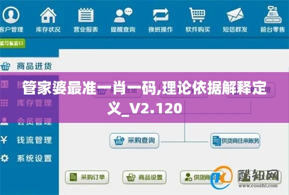 管家婆最准一肖一码,理论依据解释定义_V2.120