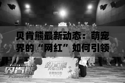 贝肯熊最新动态:萌宠界的“网红”如何引领潮流?