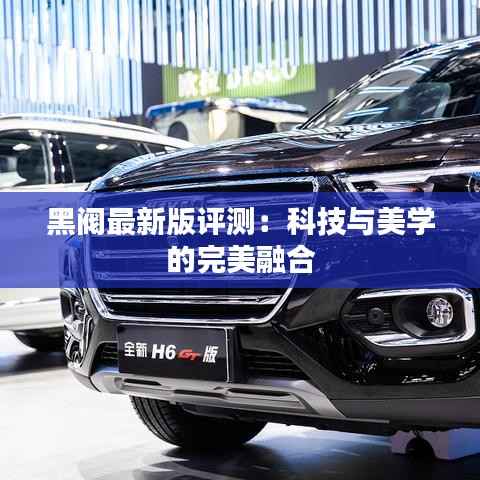 黑阀最新版评测:科技与美学的完美融合