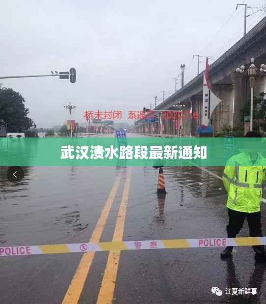 武汉渍水路段最新通知