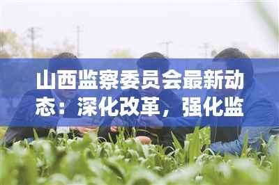 山西监察委员会最新动态:深化改革,强化监督,护航发展