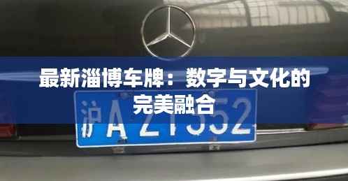 衣不兼采 第2页