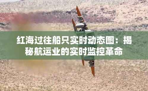 红海过往船只实时动态图：揭秘航运业的实时监控革命