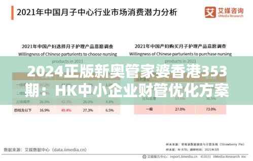 2024正版新奥管家婆香港353期：HK中小企业财管优化方案