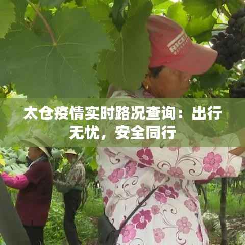 太仓疫情实时路况查询:出行无忧,安全同行