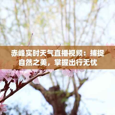 赤峰实时天气直播视频：捕捉自然之美，掌握出行无忧