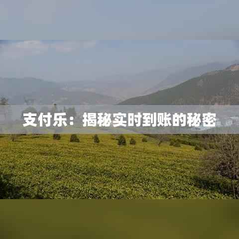 支付乐:揭秘实时到账的秘密