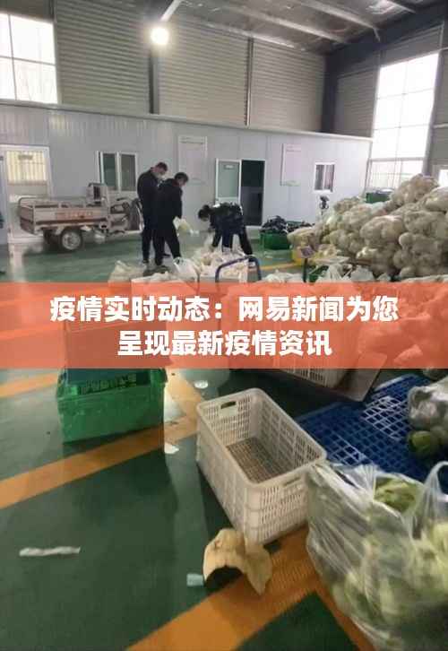 疫情实时动态:网易新闻为您呈现最新疫情资讯