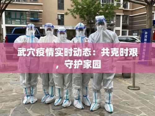 武穴疫情实时动态:共克时艰,守护家园