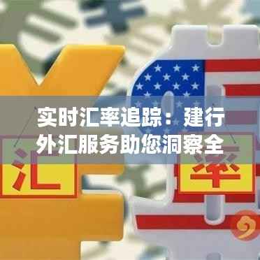 实时汇率追踪:建行外汇服务助您洞察全球金融市场