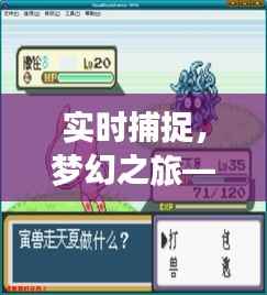 实时捕捉,梦幻之旅——揭秘神奇宝贝的实时互动体验