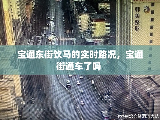 宝通东街饮马的实时路况，宝通街通车了吗 