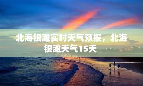 第1246页