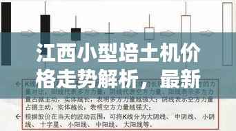 江西小型培土机价格走势解析,最新行情一目了然