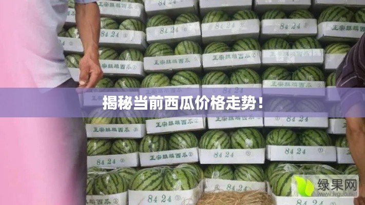 揭秘当前西瓜价格走势!
