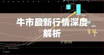 牛市最新行情深度解析