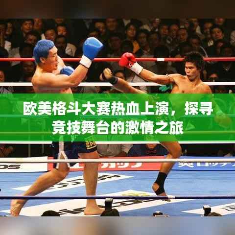 欧美格斗大赛热血上演,探寻竞技舞台的激情之旅