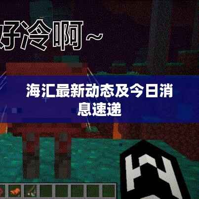 海汇最新动态及今日消息速递