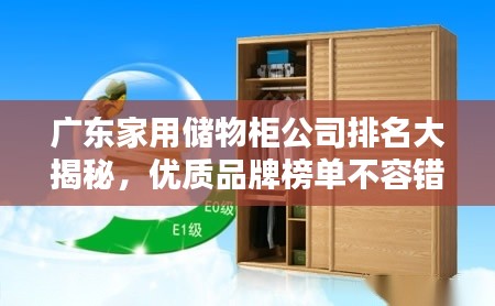 广东家用储物柜公司排名大揭秘,优质品牌榜单不容错过!