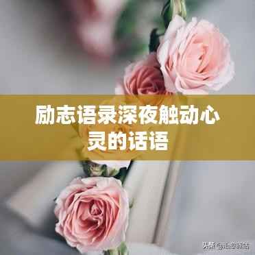 励志语录深夜触动心灵的话语