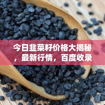今日韭菜籽价格大揭秘,最新行情,百度收录标准
