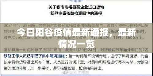 今日阳谷疫情最新通报,最新情况一览