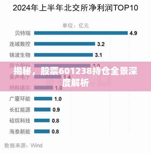 揭秘,股票601238持仓全景深度解析